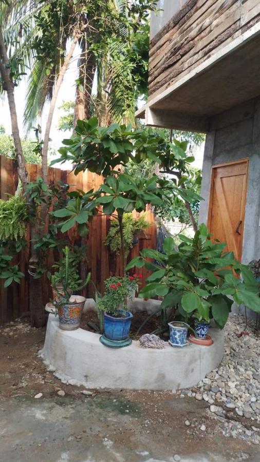 Casa De Kai Mazunte Ξενοδοχείο Εξωτερικό φωτογραφία